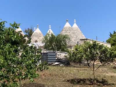 ...si sostituisce gradualmente a quella di un favoloso gruppo di trulli (chiamati cas�dde dai residenti)...
